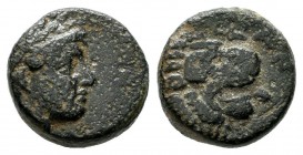 Troas, Antandros. Circa 400-300 BC. AE (10mm, 1.66g). Laureate head of Apollo r. R/ Head of a roaring lion r.; grape bunch to upper r. SNG Copenhagen ...