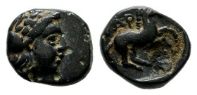 Troas, Gargara. Circa 4th Century BC. AE (7mm, 0.69g). Laureate head of Apollo right. / Horse prancing right. SNG München 191; SNG Copenhagen 326.