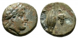 Troas, Neandria. Circa 400-300BC. AE (9mm, 0.86g). Laureate head of Apollo right. / NEAN. Corn and grape cluster. SNG Tübingen 2652.