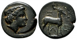 Troas, Zeleia. Circa 400 BC. AE (19mm, 6.19g). Head of Artemis right, wearing stephane. / Z - E / Λ - E. Stag standing right; below, grain ear right. ...