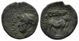 Mysia, Parion. Hadrian, 117-138 AD. AE (17mm, 3.71g). HADRIANVS AVG P P, laureate head of Hadrian, left / C G I H P, founder ploughing with two oxen, ...