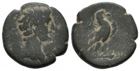Phrygia, Amorium. Augustus, 27 BC-AD 14 AD. AE (18mm, 5.97g). Bare head right. / Eagle standing right on thunderbolt with kerykeion. RPC 3233.
