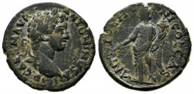 Pisidia. Antiochia. Caracalla, AD 211-217. AE (23mm, 6.35g). Laureate head right / Genius standing left, holding branch and cornucopia.