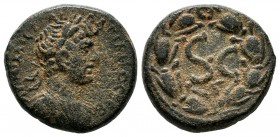 Seleucis and Pieria, Antiochia ad Orontem. Hadrian, AD. 117-138. AE (19mm, 6.29g). AYTOKP KAIC TRAIAN AΔPIANOC CEB, laureate, draped, and cuirassed bu...