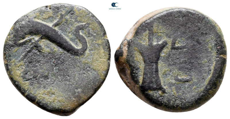 Hispania. Carteis circa AD 44. 
Bronze Æ

18 mm, 5,46 g



nearly very fi...