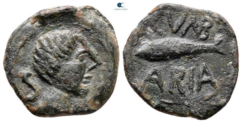 Hispania. Cunbaria circa 100 BC. 
Semis Æ

19 mm, 3,43 g



very fine