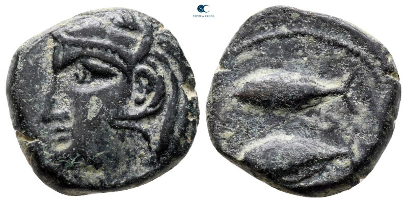 Hispania. Gades circa 100 BC. 
Bronze Æ

17 mm, 4,78 g



very fine