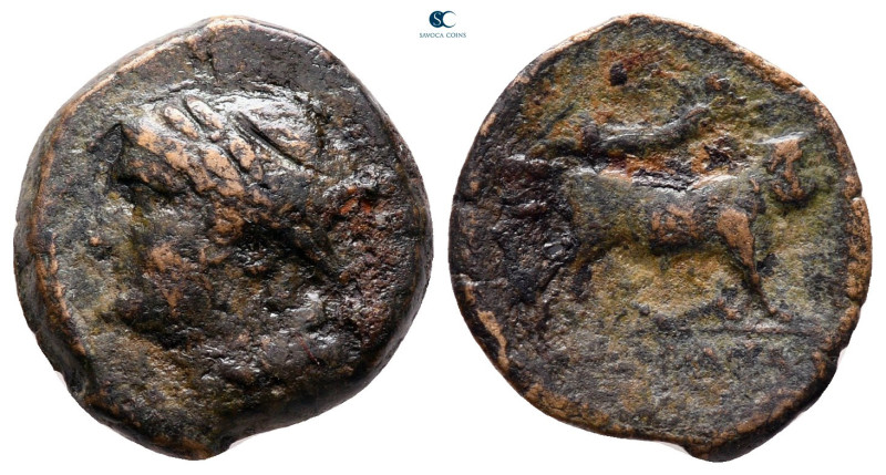 Campania. Neapolis circa 250-200 BC. 
Bronze Æ

17 mm, 2,80 g



very fin...