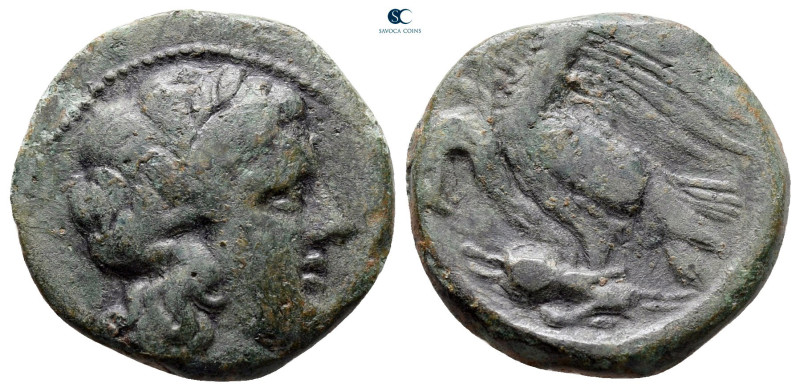 Sicily. Akragas circa 287-282 BC. 
Bronze Æ

19 mm, 4,43 g



very fine