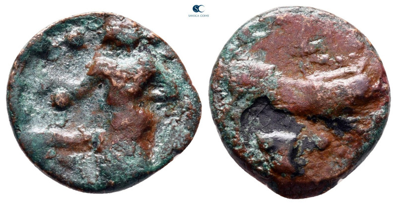 Sicily. Halykiai circa 400 BC. 
Bronze Æ

16 mm, 2,63 g



nearly very fi...