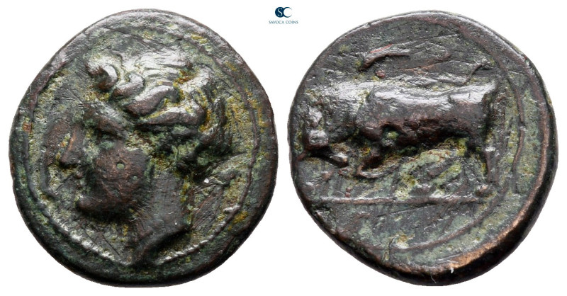 Sicily. Syracuse. Agathokles 317-289 BC. 
Bronze Æ

16 mm, 2,33 g



very...