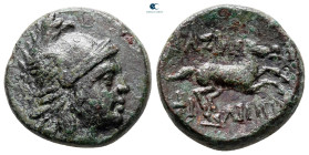 Kings of Macedon. Uncertain mint. Philip V 221-179 BC. Bronze Æ