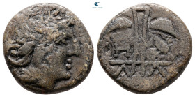 Thrace. Apollonia Pontica circa 400-330 BC. Bronze Æ