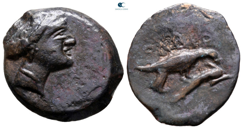 Scythia. Olbia circa 380-360 BC. 
Bronze Æ

22 mm, 4,09 g



very fine