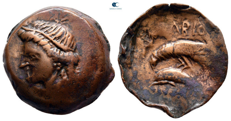 Scythia. Olbia circa 380-360 BC. 
Bronze Æ

20 mm, 4,78 g



very fine