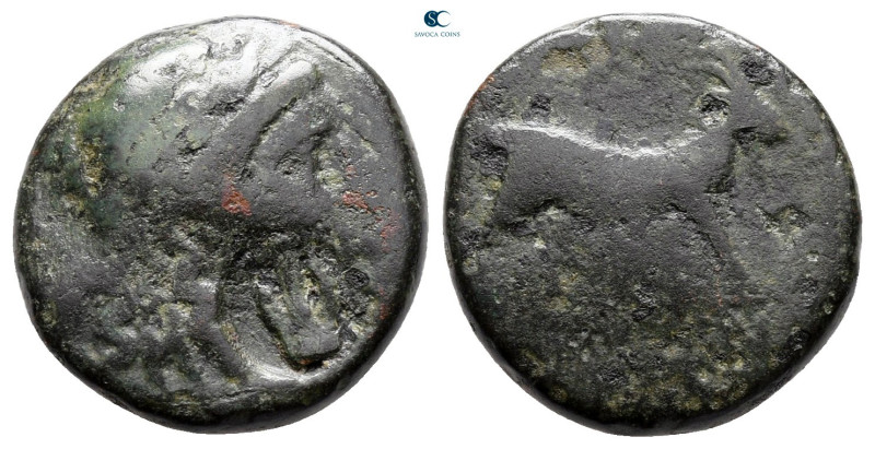 Aiolis. Aigai circa 200-0 BC. 
Bronze Æ

16 mm, 3,65 g



fine