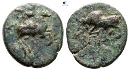 Ionia. Magnesia ad Maeander circa 250-200 BC. Bronze Æ