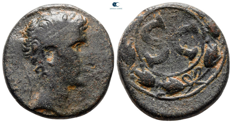 Seleucis and Pieria. Antioch. Augustus 27 BC-AD 14. 
Bronze Æ

26 mm, 13,30 g...