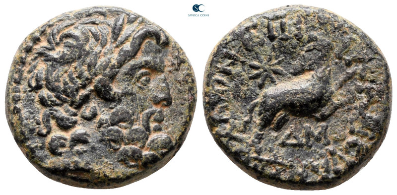 Seleucis and Pieria. Antioch. Pseudo-autonomous issue. Time of Augustus 27 BC-AD...