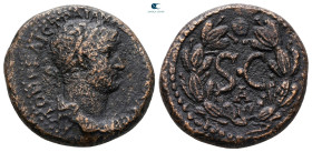 Seleucis and Pieria. Antioch. Hadrian AD 117-138. Bronze Æ