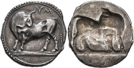 LUCANIA. Sybaris. Circa 550-510 BC. Stater (Silver, 27 mm, 8.37 g). YM Bull standing to left on dotted ground line, his head turned back to right; all...