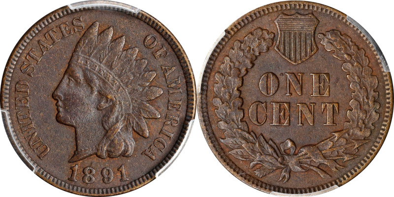 1891 Indian Cent. Snow-1, FS-101. Doubled Die Obverse. EF Details--Environmental...