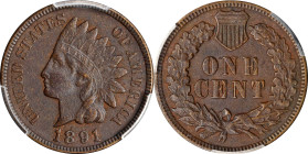 1891 Indian Cent. Snow-1, FS-101. Doubled Die Obverse. EF Details--Environmental Damage (PCGS).
PCGS# 37564. NGC ID: 228K.