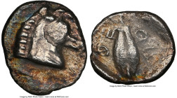 THESSALY. Thessalian League. Ca. 480-460 BC. AR hemiobol (7mm, 0.38 gm, 10h). NGC XF. Head of horse right / ΦE-ΘA, Barley grain; all within incuse squ...