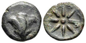 PONTUS.Amisos.(130-100 BC).Ae.

Obv : Rose bud.

Rev : Star between two crescents.

Weight : 5.4 gr
Diameter : 19 mm