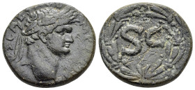 SYRIA. Seleucis and Pieria. Antioch. Domitian (81-96). Ae.

Weight : 14.3 gr
Diameter : 27 mm