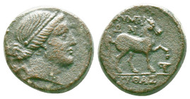 Greek Coins. 4th - 1st century B.C. AE
Reference:
Condition: Very Fine

Weight:9.54gr
Dimention:20.33mm