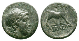 Greek Coins. 4th - 1st century B.C. AE
Reference:
Condition: Very Fine

Weight:3.41gr
Dimention:16.43mm