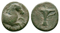 Greek Coins. 4th - 1st century B.C. AE
Reference:
Condition: Very Fine

Weight:2.73gr
Dimention:16.66mm