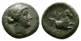 Greek Coins. 4th - 1st century B.C. AE
Reference:
Condition: Very Fine

Weight:3.57gr
Dimention:14.32mm