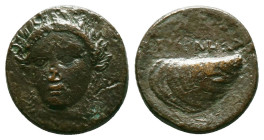 Greek Coins. 4th - 1st century B.C. AE
Reference:
Condition: Very Fine

Weıght 3.92gr
Dimention:16.87mm