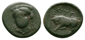 Greek Coins. 4th - 1st century B.C. AE
Ionia, Phygela Æ 15mm. Circa 350-300 BC.
Reference:
Condition: Very Fine

Weight:2.63gr
Dimention:14.60mm...