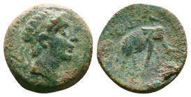 Greek Coins. Seleukid Empire, 4th - 1st century B.C. AE
Reference:
Condition: Very Fine

Weight:5.52gr
Dimention:18.74mm