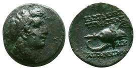 Greek Coins. Seleukid Empire, 4th - 1st century B.C. AE
Reference:
Condition: Very Fine

Weight:5.01gr
Dimention:17.85mm