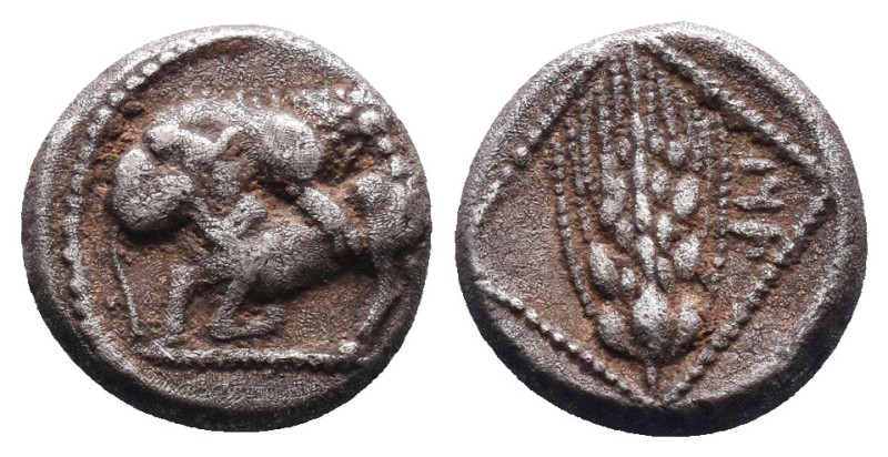 Cilicia, Tarsos AR Tetrobol. 425-400 BC. Lion to right, attacking bull kneeling ...