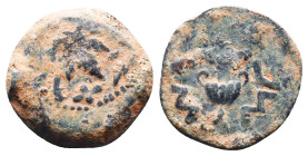 Judae Coins, Ae.
Reference:
Condition: Very Fine

Weight:2.91gr
Dimention:16.98mm