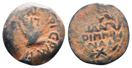 Judae Coins, Ae.
Reference:
Condition: Very Fine

Weight:2.85gr
Dimention:17.82mm