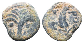 Judae Coins, Ae.
Reference:
Condition: Very Fine

Weight:1.63gr
Dimention:15.63mm