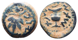 Judae Coins, Ae.
Reference:
Condition: Very Fine

Weight:2.51gr
Dimention:16.73mm