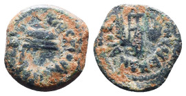 Judae Coins, Ae.
Reference:
Condition: Very Fine

Weight:2.13gr
Dimention:15.50mm