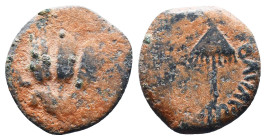 Judae Coins, Ae.
Reference:
Condition: Very Fine

Weight:2.86gr
Dimention:17.82mm