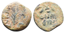 Judae Coins, Ae.
Reference:
Condition: Very Fine

Weight:2.11gr
Dimention:15.06mm