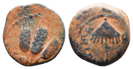 Judae Coins, Ae.
Reference:
Condition: Very Fine

Weight:2.61gr
Dimention:16.08mm