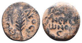 Judae Coins, Ae.
Reference:
Condition: Very Fine

Weight:2.51gr
Dimention:16.45mm
