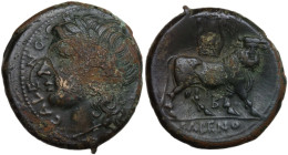 Greek Italy. Samnium, Southern Latium and Northern Campania, Cales. AE 20.5 mm, c. 265-240 BC. Obv. Laureate head of Apollo left. Rev. Man-headed bull...