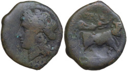 Greek Italy. Central and Southern Campania, Neapolis. AE 20.5 mm. c. 270-250 BC. Obv. Laureate head of Apollo left. Rev. Man-faced bull standing right...